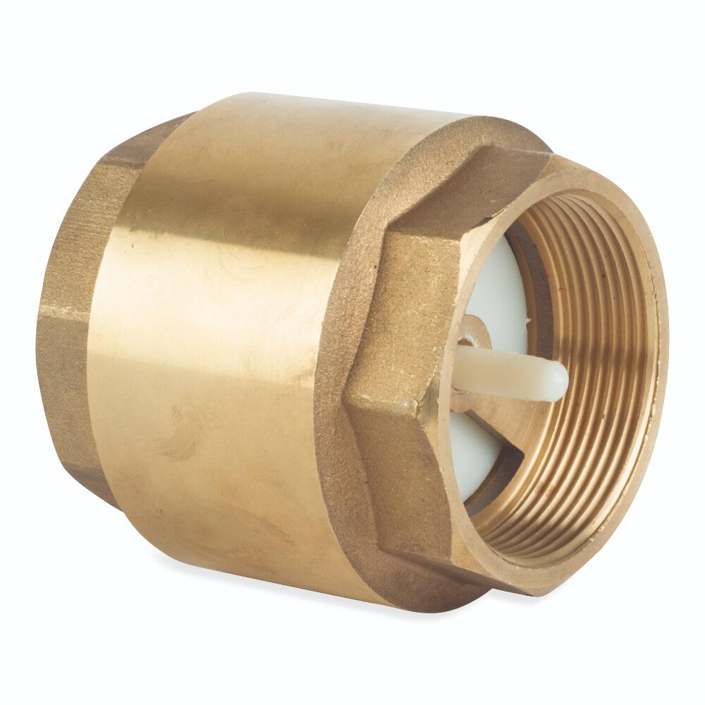 An image of the Flowflex Spring Check Valve, product code: SPV